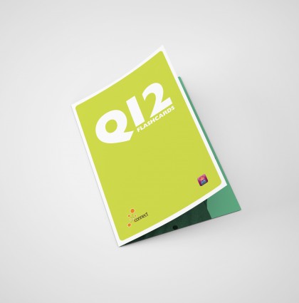 AIB Q12 Brochure